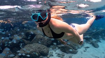 Equipo de snorkel disponible a bordo del ideal para explorar el mundo submarino durante actividades acuáticas